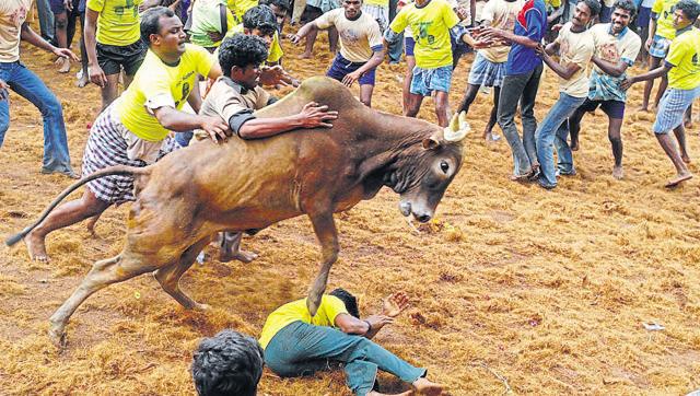 nojallikattuintamilnaduthisyear