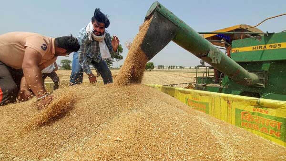 afterexportbancentreextendsdeadlineforwheatprocurementfromstatestillmay31