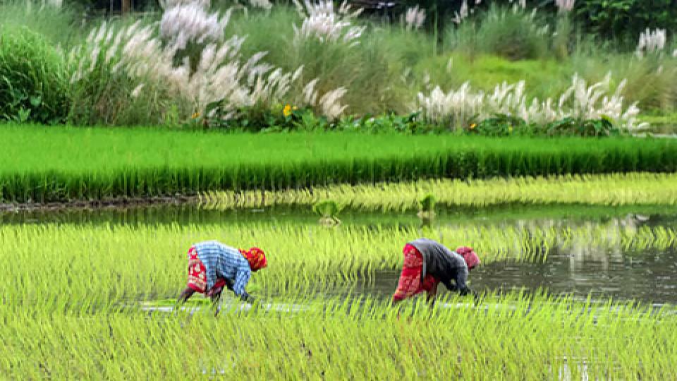 Tamil Nadu Agriculture Budget Draws Criticism From Farmers Bodies