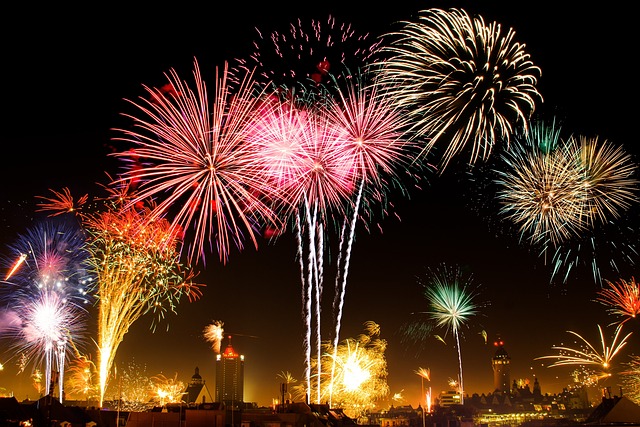 delhigovtimposesbanonfirecrackersfromjan1