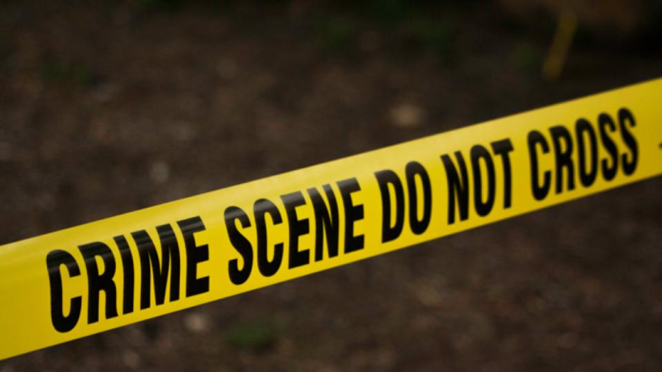 Man Kills Brother in Fight Over Family-Owned Babul Tree in UP