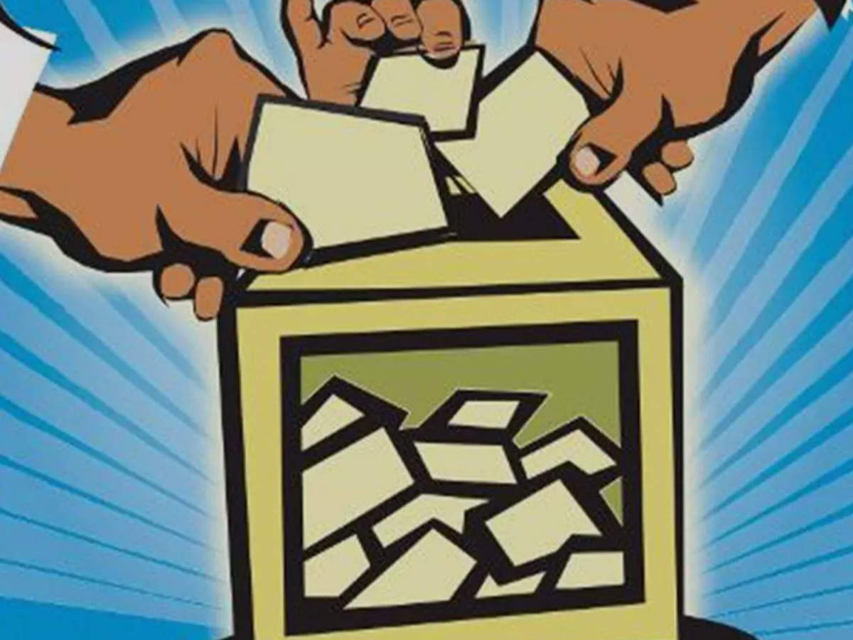 goaassemblyelections:ecidentifies9590pwdand2997above80yearswhoopttovotefromhome