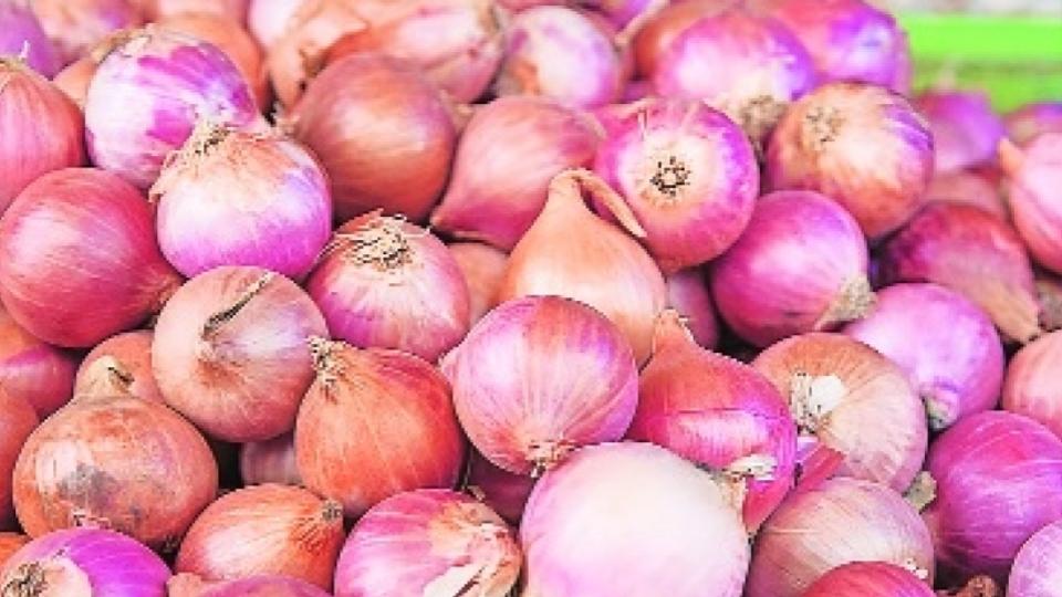 Centre govt raises onion procurement price to Rs 2,125 per quintal