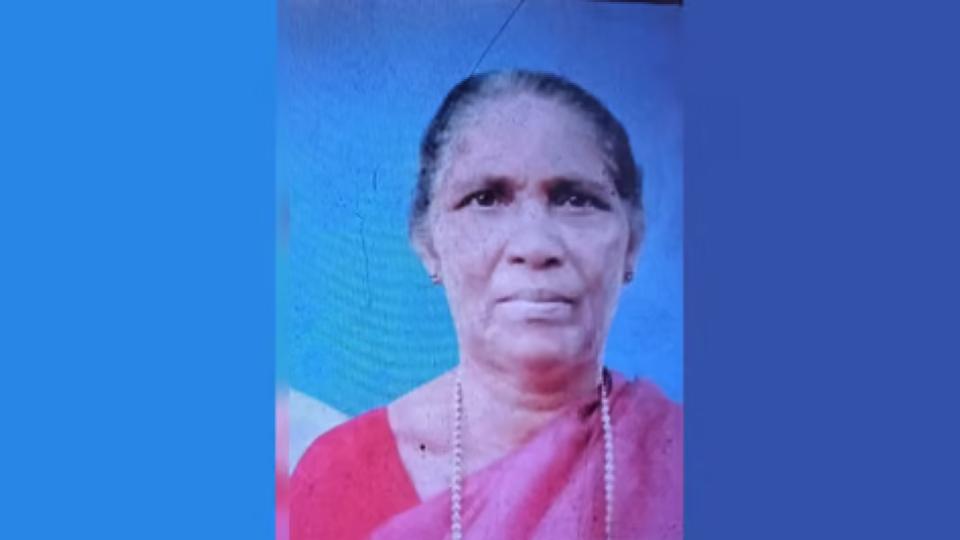 Frustated man murders his bedridden wife in Kerala
