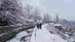 imdforecastscoldwaveinisolatedareasofhimachalpradeshpunjabharyana