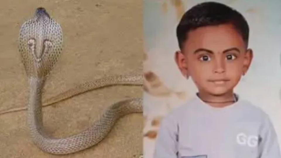 One More Child Dies After Snake Bite In Kerala