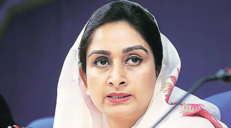 worldfoodindiatobeheldinnewdelhifromnov1:harsimratkaurbadal