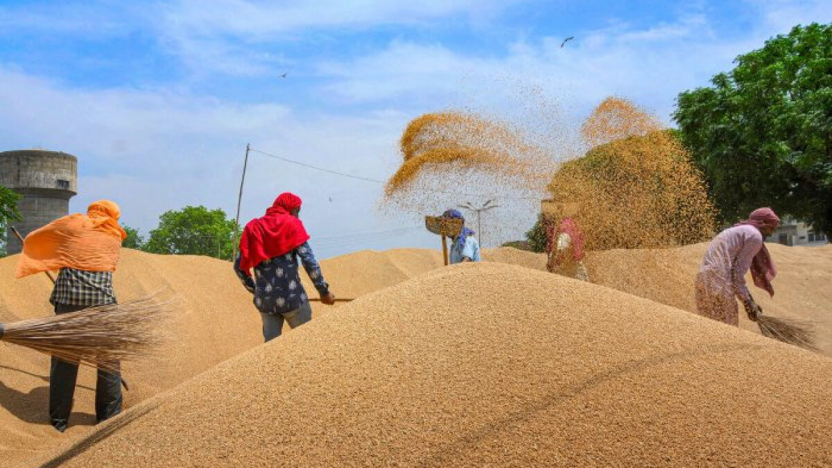govtimposesstockholdinglimitsonwheattillmarch2024tocontainrisingprices