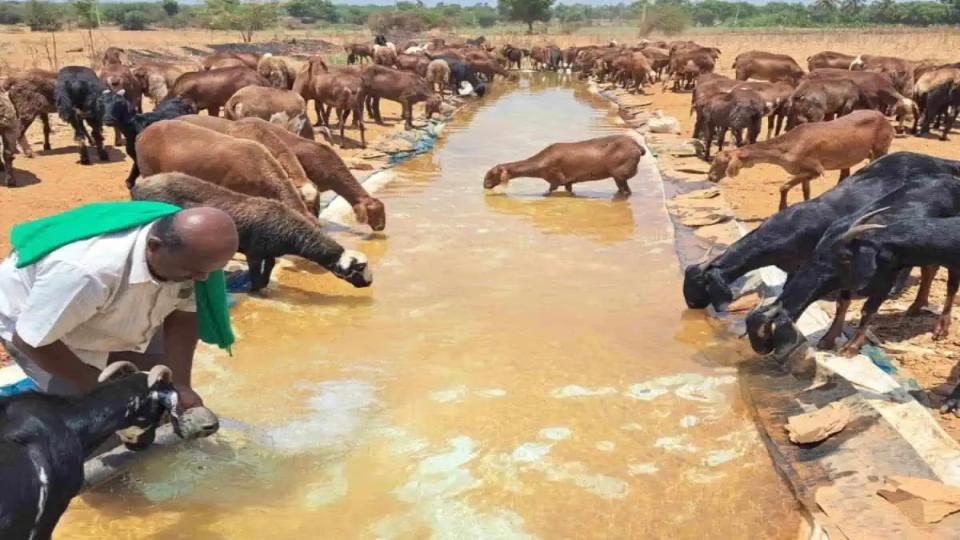 karnatakafarmerdigsuppondtoquenchthirstyanimalsandtacklewatercrisis