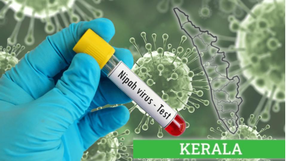 425 Under Surveillance As Kerala Battles Fresh Nipah Virus Outbreak