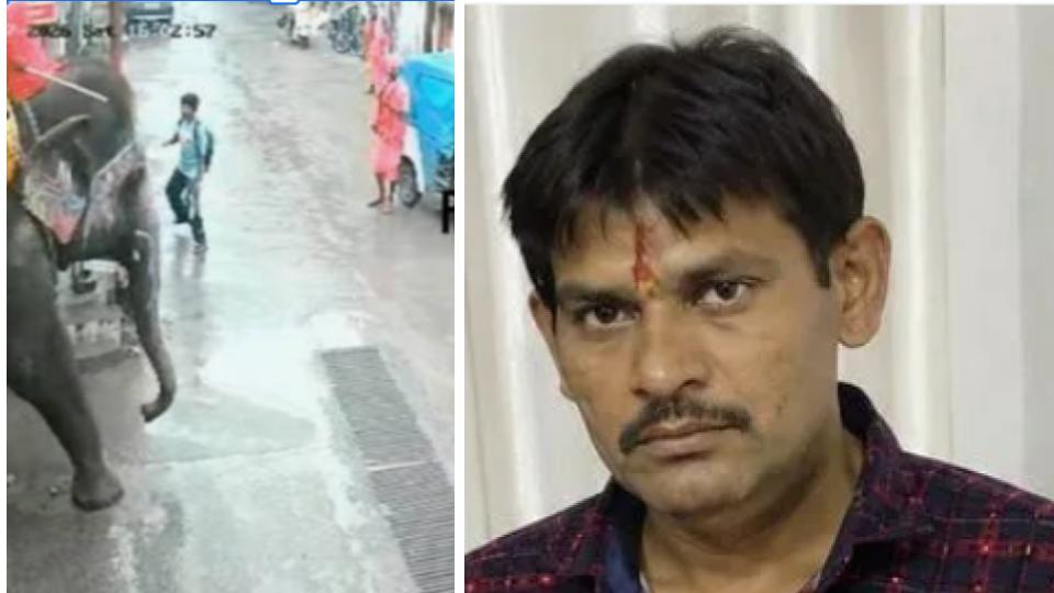 Elephant kills man while being fed jaggery in Indore