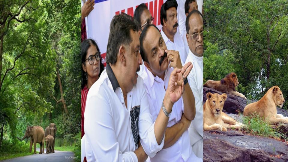 Forest Minister 