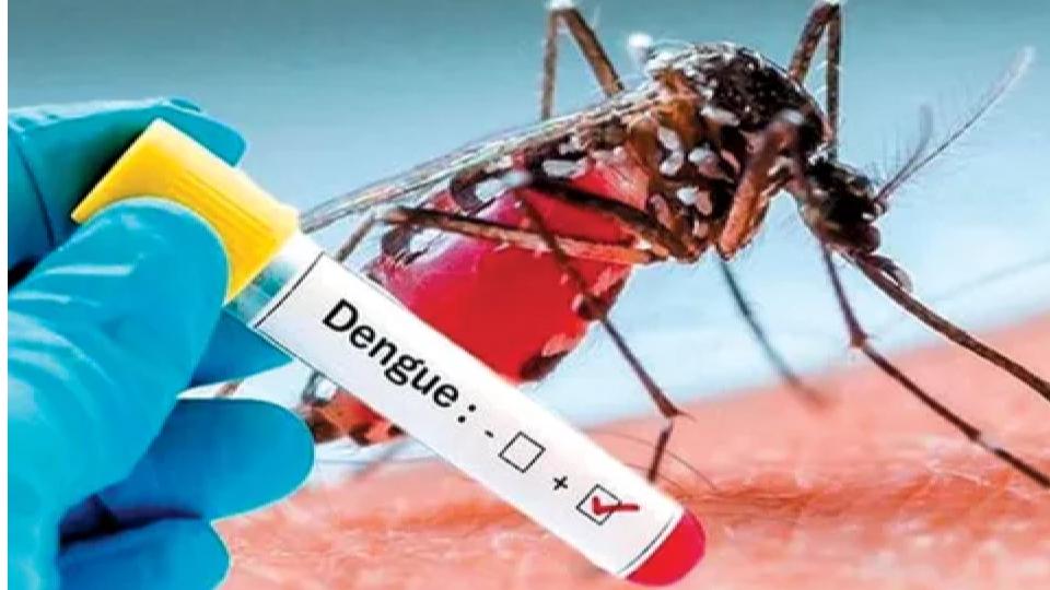 healthdepartmentissuesalertfordenguemalariaingwalior