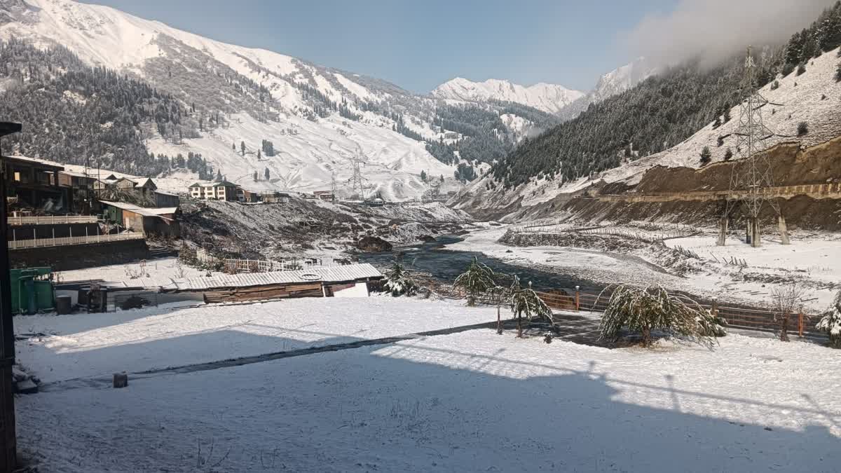 ladakhwitnessesseverecoldwave