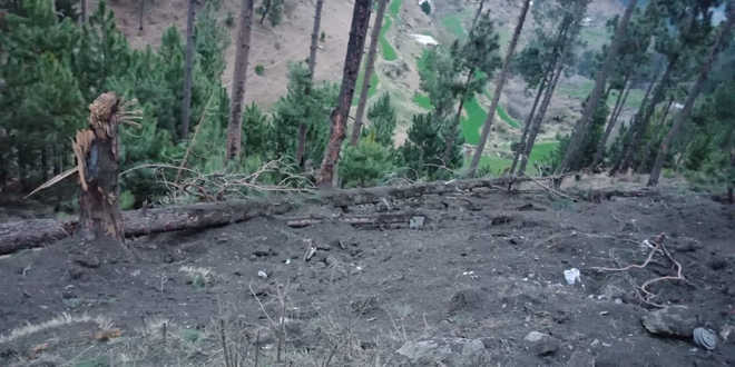 5starbalakotcampwassittingducktargetforiaf350terroristskilledwhilesleeping:sources