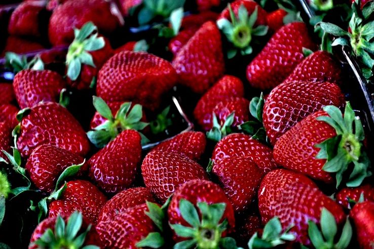 meghalayatoholdstrawberryfestivalfromapril5