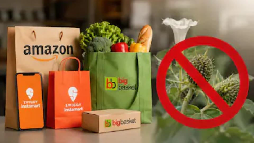 Karnataka Govt Orders Suspension of Food Licences of Amazon, Swiggy Instamart, BigBasket