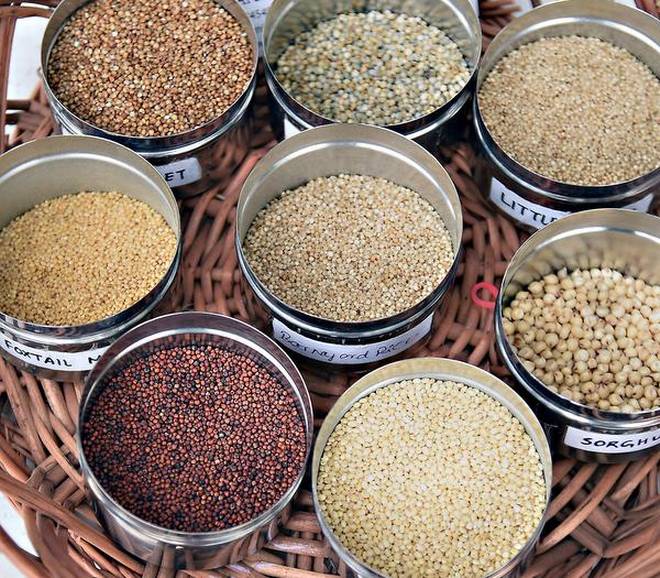 govtdecidestodeclare2018asnationalyearofmillets