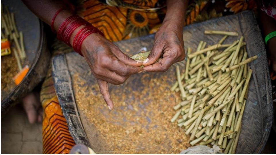 Public Health experts slam GST cut on bidis