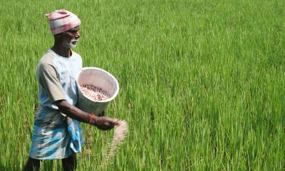 newschemetoprovidesocialsecuritypensiontofarmers