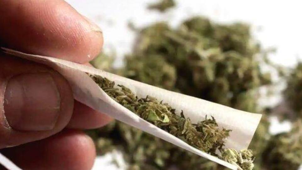 83 Kg Ganja Seized From Ambulance In Jharkhand, Four Arrested