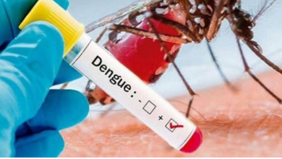 Bengaluru records 172 dengue cases in May, civic body on high alert