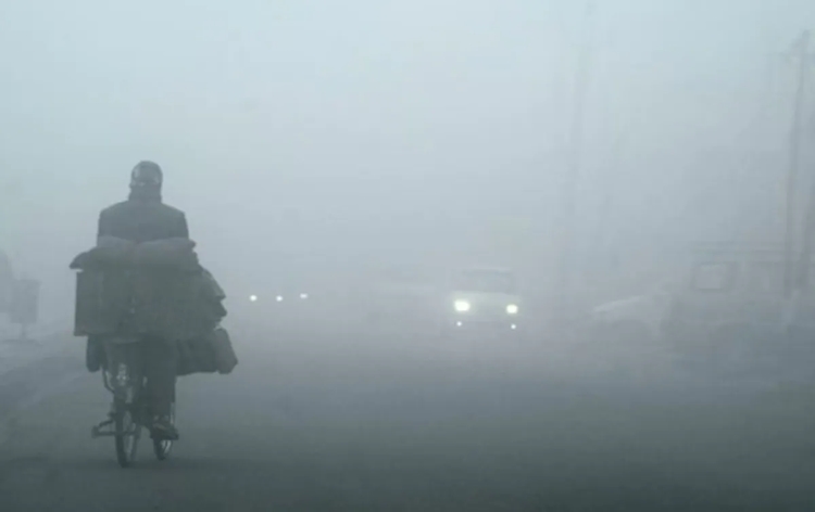 densefogdisruptsnormallifeinnorthindianstates