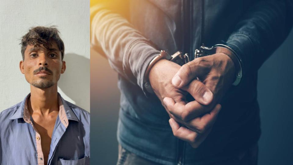 Pakistani caught hiding in cattle shed near Rajasthan border