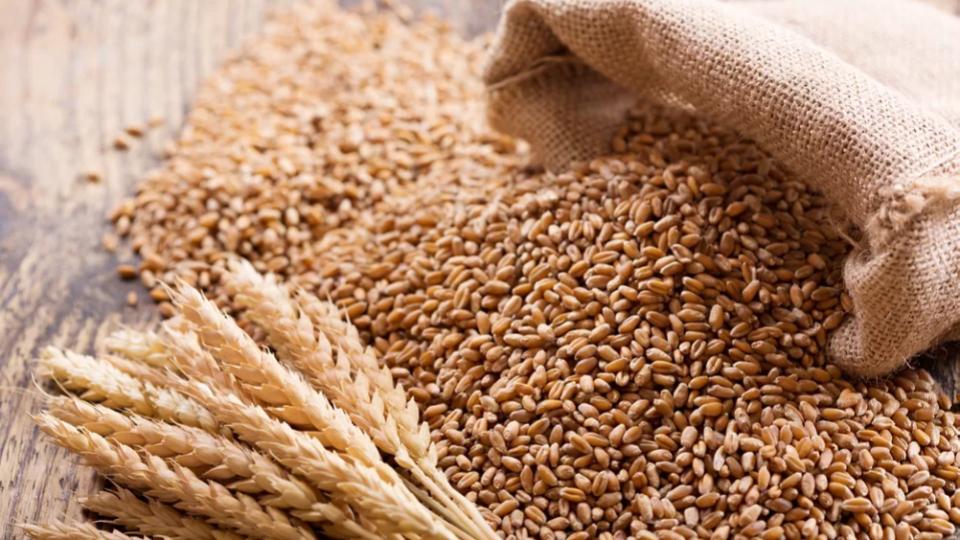 Madhya Pradesh Man Arrested For Stealing Wheat Worth Rs 100 In 1980 Year
