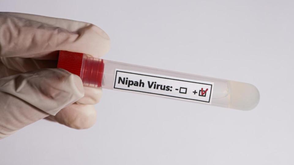 Tamil Nadu steps up surveillance after Nipah cases in West Bengal