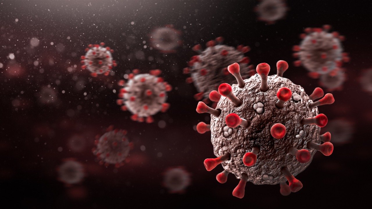 govtsourcesdenydetectionofcovid19xevariantinmumbai