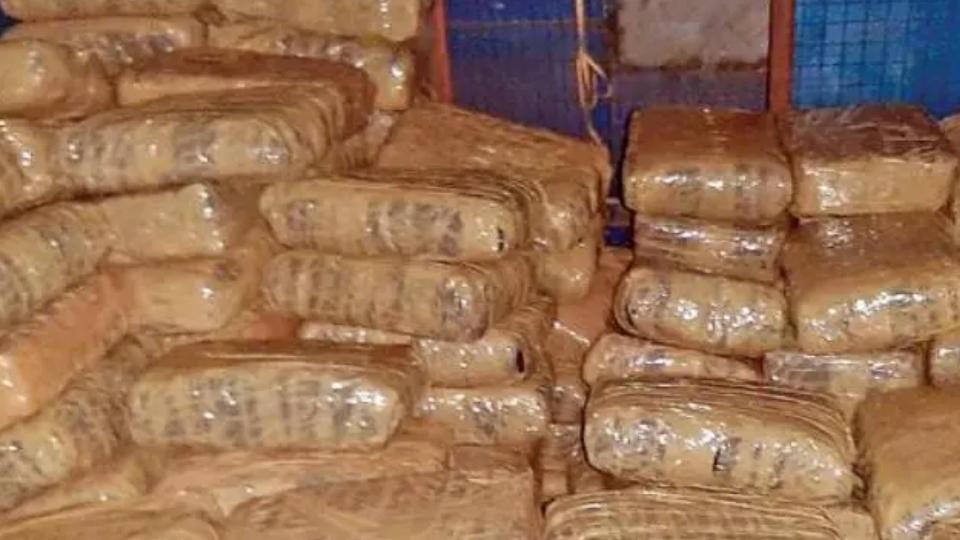 Delhi Customs Destroys 165 Kg Narcotics of Rs 515 Crore