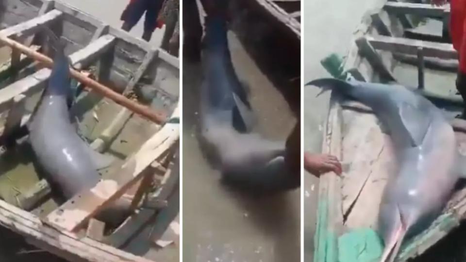Bihar Fisherman Arrested 