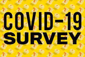 odishagovttoundertake3monthhousetohousecovidsurveyfrommay24