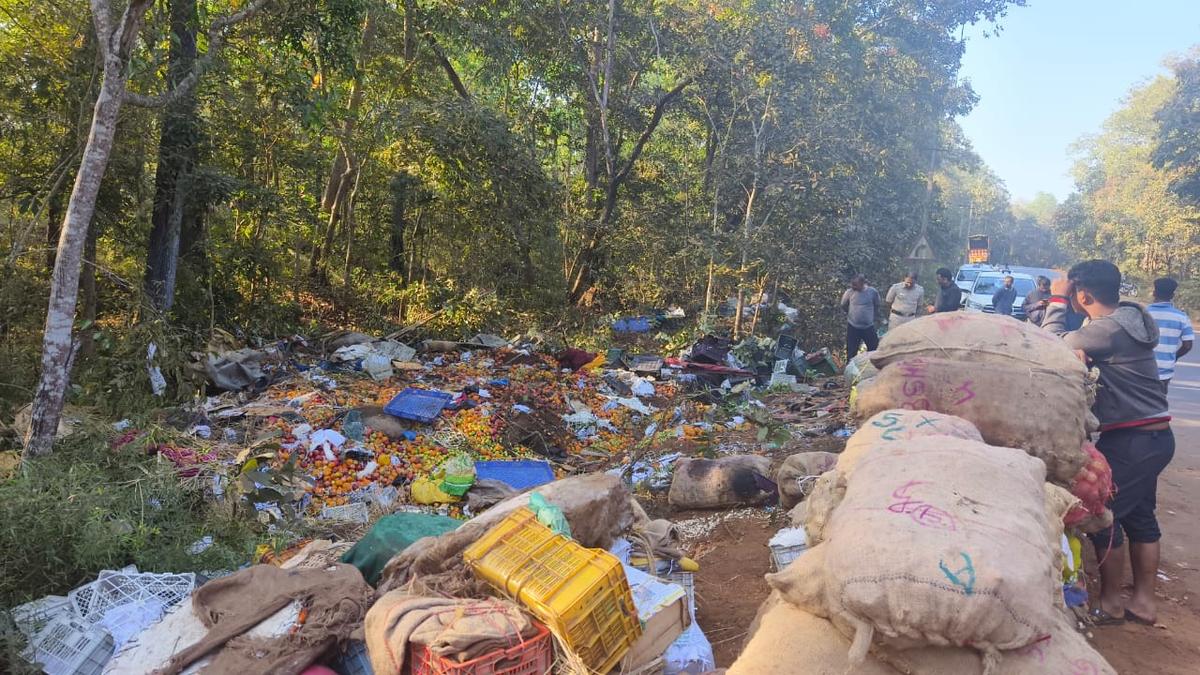 10dead16injuredastruckturnsturtleneararabailghatinkarnataka