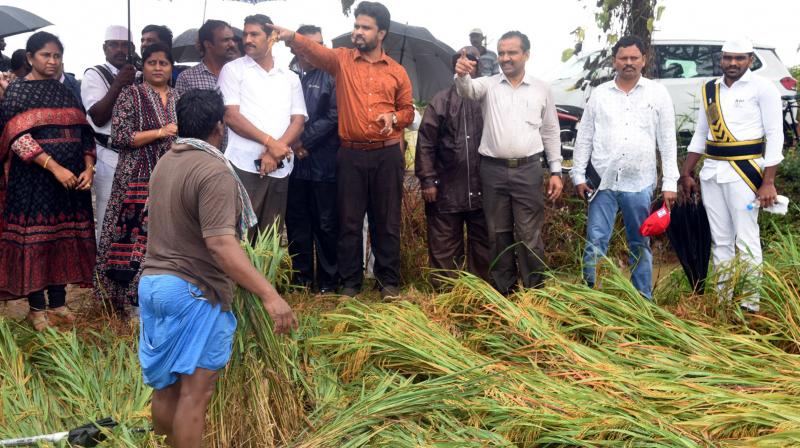 cyclonemichaungdevastatescropsinsouthcoastalandhra