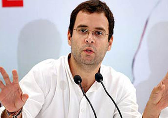 politiciansshouldstayawayfromcricket:rahulgandhi