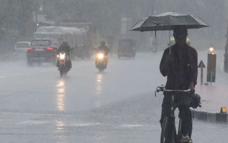 imdpredictsextremelyheavyrainfallingujarattoday