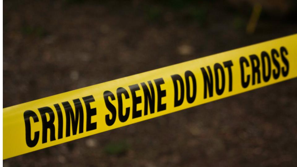Bengaluru Police seek AI chatbot 