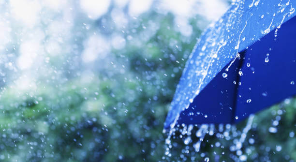 telanganatowitnessrainforthreemoredays:imd