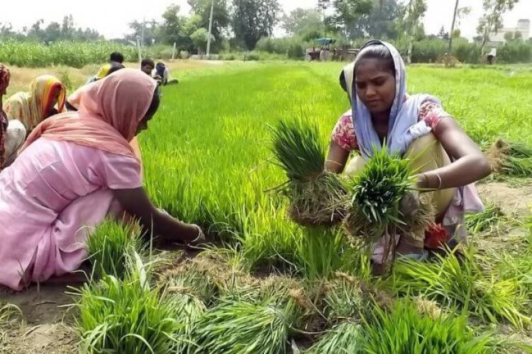 telanganagovttospendrs31000croretowaiveofffarmerloansuptors2lakh