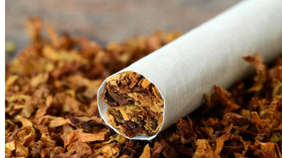 Centre permits sale of excess tobacco in Andhra for 2025-26 crop season