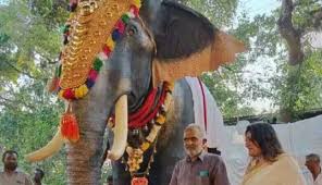 petaofferslifelikemechanicalelephanttokeralamosqueforrituals