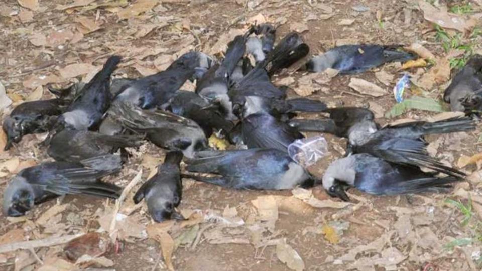 Tamil Nadu Govt on High Alert 