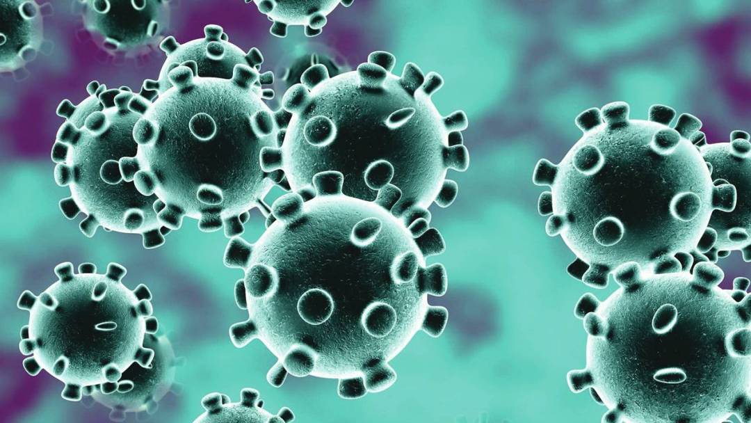 indiannurseatsaudihospitaltestspositiveforcoronavirus:govt