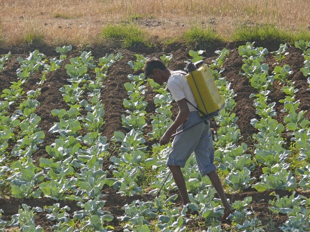 notaxoncashsalesofagriculturalproduceforlessthan2lakhrupees:itdepartment
