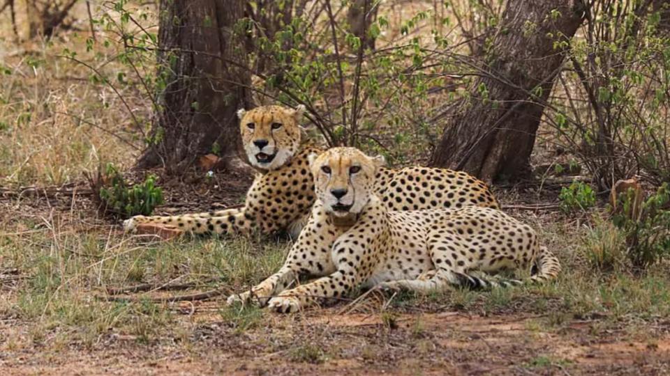 kunonationalparkreopensfortouristsinmp