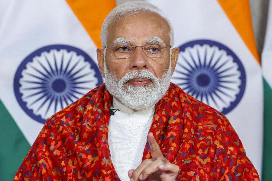 pmmodidrinkingonlycoconutwater