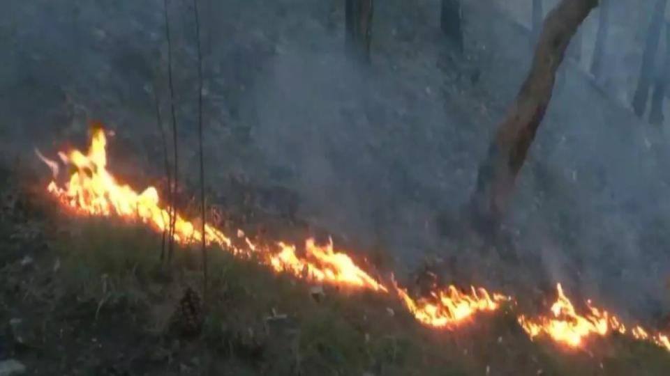 fireeruptsnearshimla?sboileauganjmentalhospital
