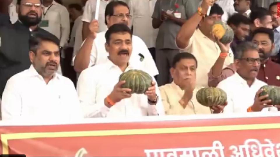Oppn holds pumpkin protest against Maharashtra govt over public grievances